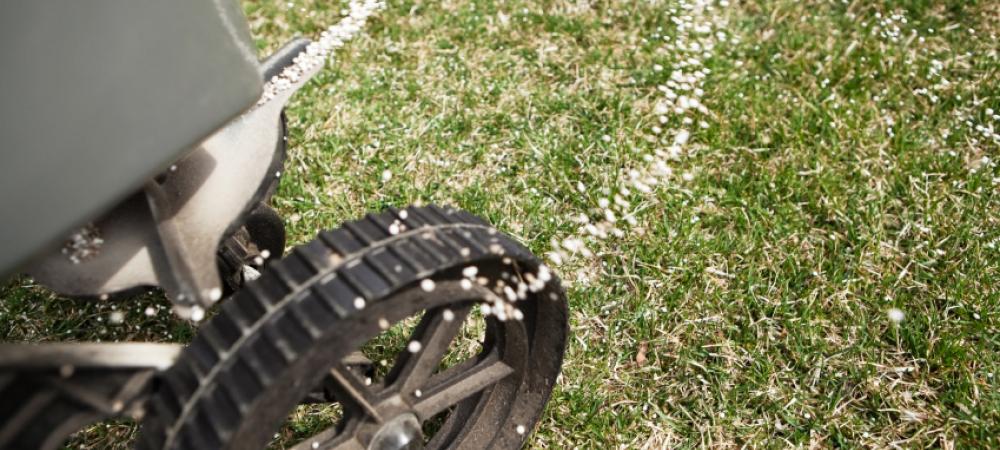 A lawn being fertilized in summer